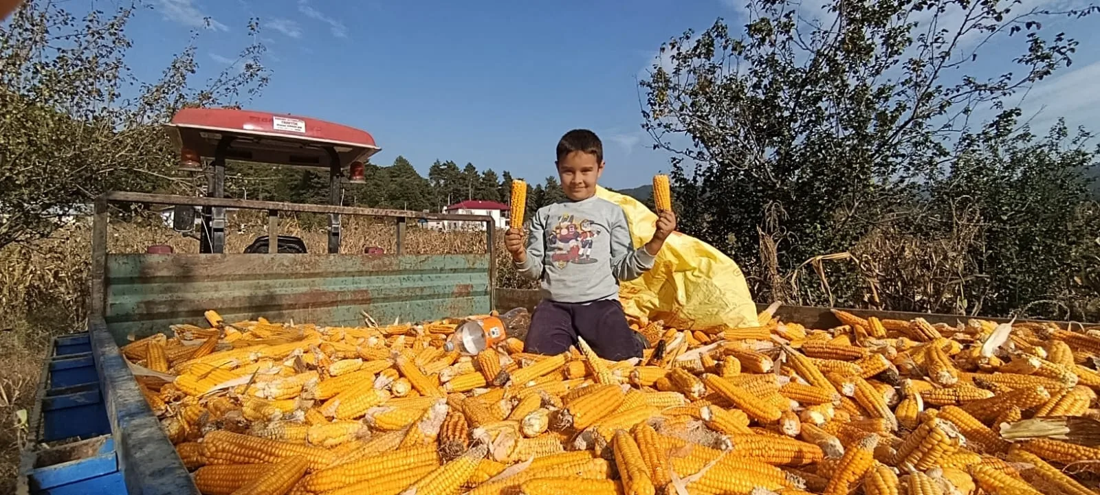 Kahramanmaraş’ın Andırın ilçesine bağlı Osmancık Mahallesi’nde, bereketli topraklarda yetiştirilen yerli