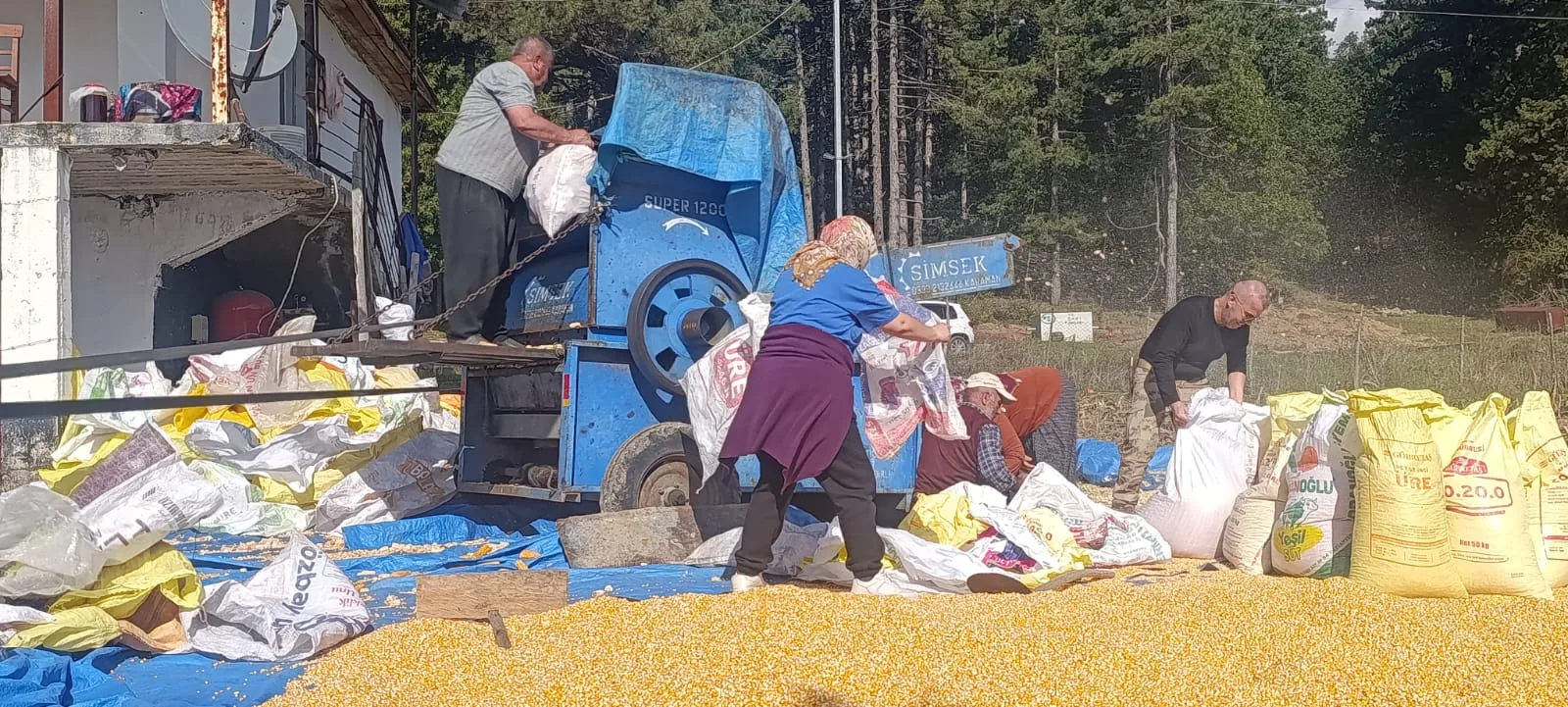 Andırın’da patostan güneşe mısırın yolculuğu!