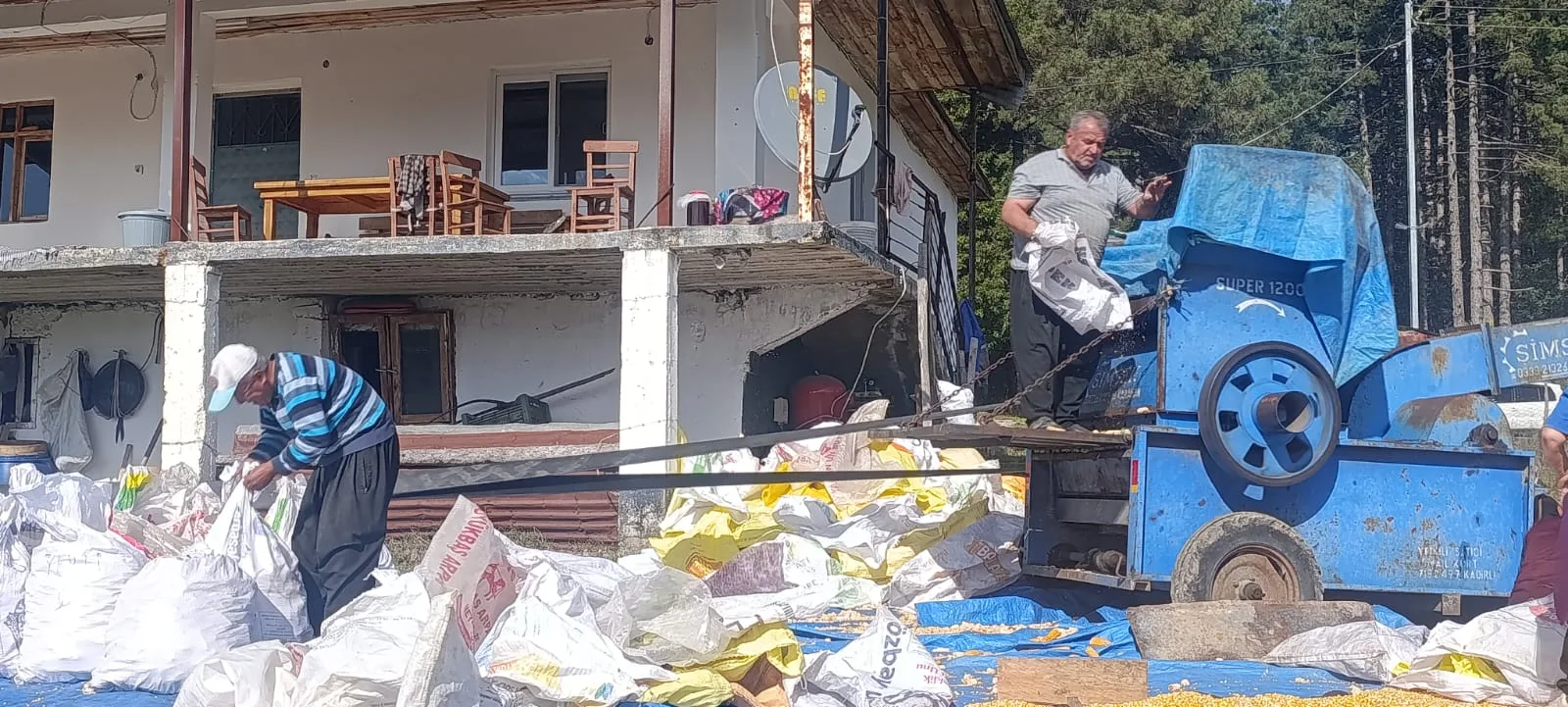 Andırın’da patostan güneşe mısırın yolculuğu!