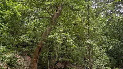 Kahramanmaraş’ın doğa harikası Andırın ilçesinde yer alan Akifiye Mahallesi, el