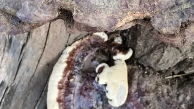 Kahramanmaraş’ın Andırın ilçesinde çiftçilik yapan Galip Baran, geçmişte çakmak taşıyla