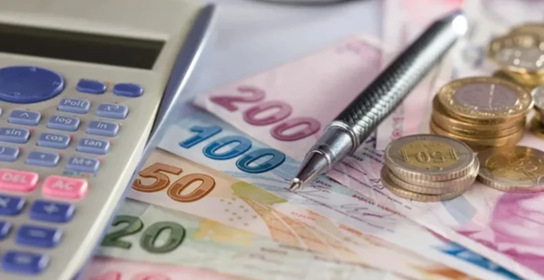 Aile ve Sosyal Hizmetler Bakanlığı, Sosyal ve Ekonomik Destek programı