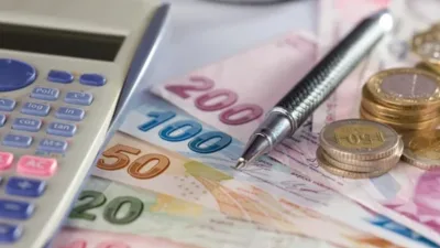 Aile ve Sosyal Hizmetler Bakanlığı, Sosyal ve Ekonomik Destek programı