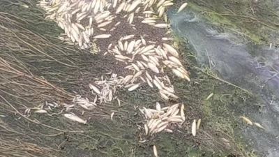 Kahramanmaraş’ta Kılavuzlu Barajı’ndan Amik Ovası’na uzanan sulama kanalında su seviyesinin