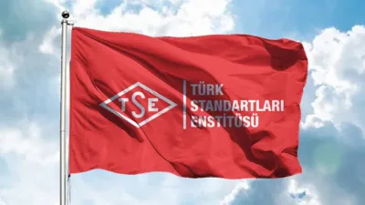 Türk Standardları Enstitüsü (TSE), Bilgi İşlem Dairesi Başkanlığında görevlendirilmek üzere