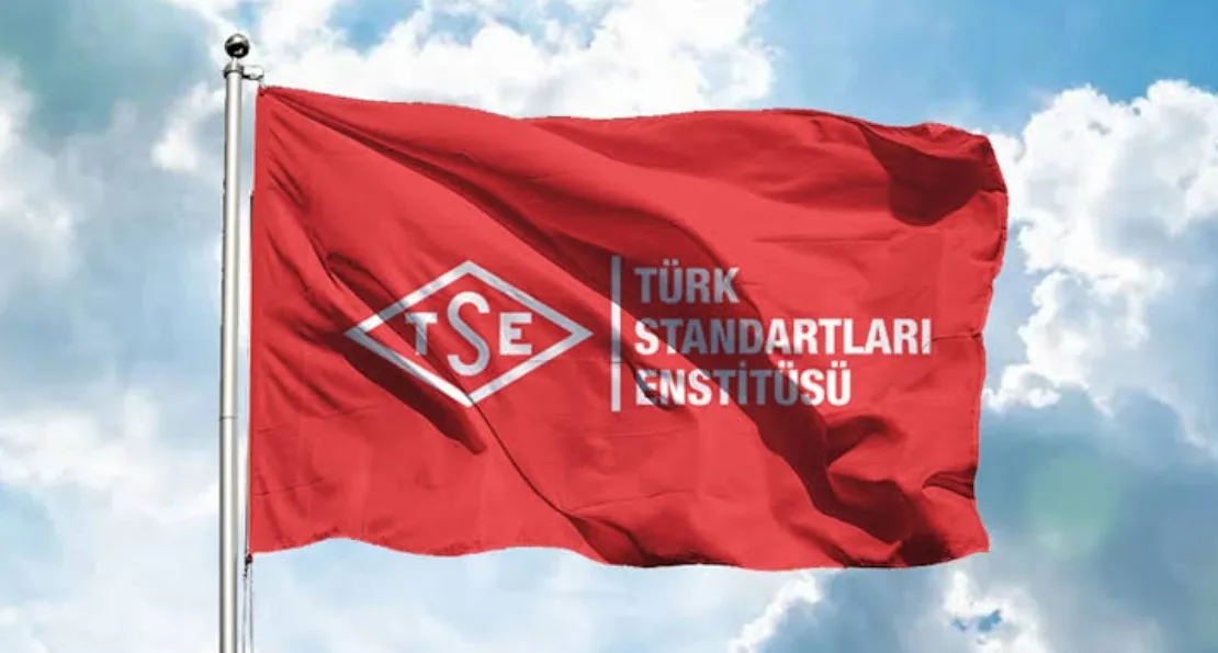 Türk Standardları Enstitüsü (TSE), Bilgi İşlem Dairesi Başkanlığında görevlendirilmek üzere